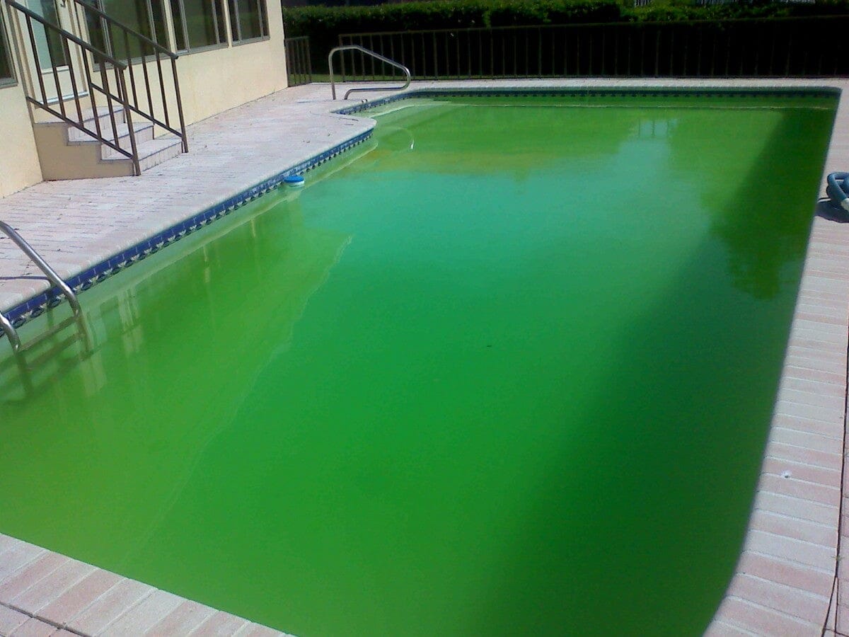 My pool looks kind of green, what should I do?