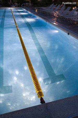 Pool Tone® 791081, 79108100 White LED 12v Pool/spa Home & Garden > Lighting > Light Bulbs Pentair 
