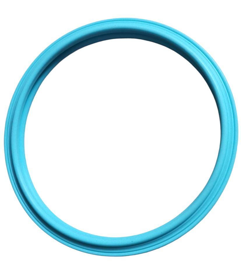 Pooltone gasket for R0451101 Replacement Kit for Select Jandy Pool Lighting System Home & Garden > Pool & Spa Jandy Zodiac 