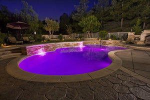 Pooltone Standard 16 Color LED Pool Light 12 or 120V 15-150 FT Cord Home & Garden > Pool & Spa Pentair 